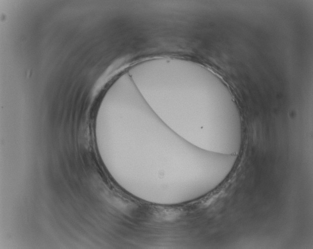 X0000066540198200603311853