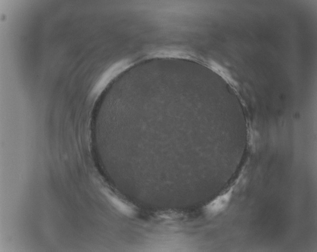 X0000066540199200603311853