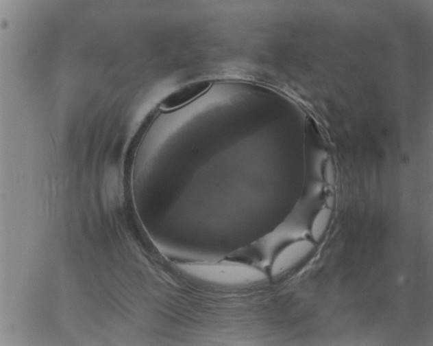 X0000066540200200603311853