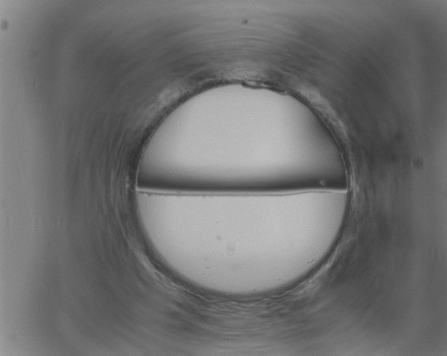 X0000066540201200603311853