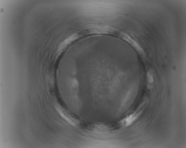 X0000066540203200603311853