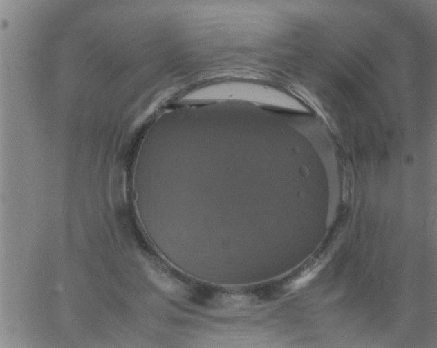 X0000066540205200603311853