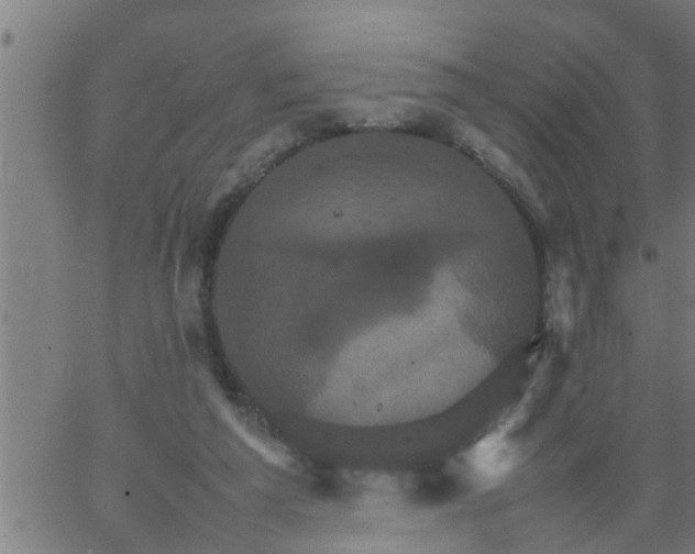 X0000066540209200603311853