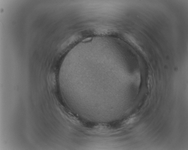 X0000066540211200603311853