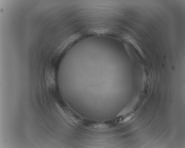 X0000066540212200603311853