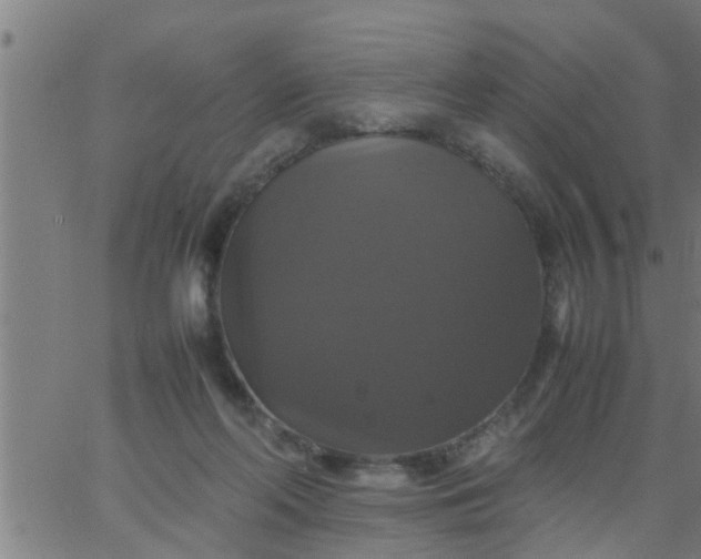 X0000066540214200603311853