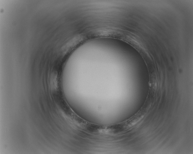 X0000066540216200603311853