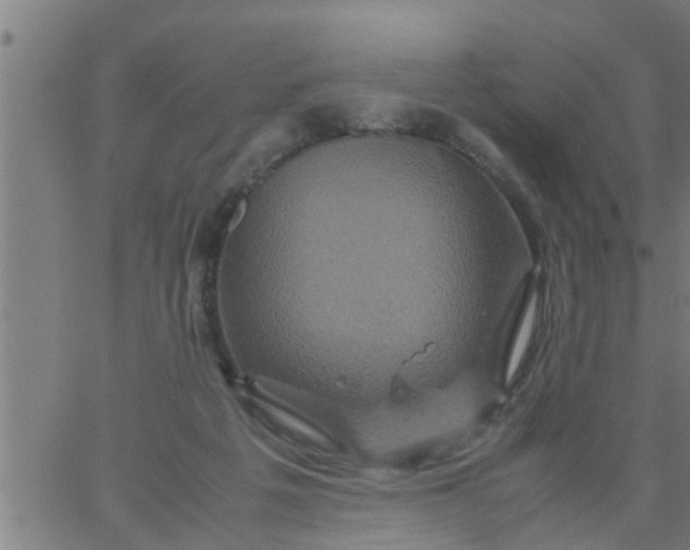 X0000066540217200603311853