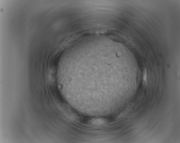 X0000066540218200603311853