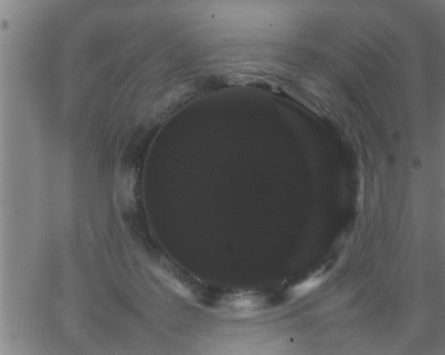 X0000066540219200603311853