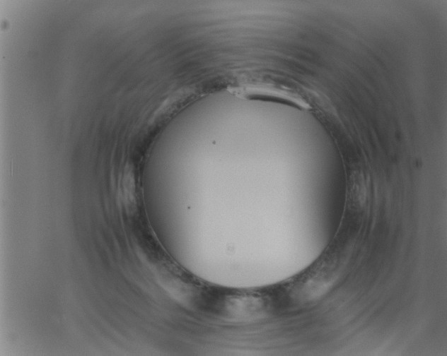 X0000066540220200603311853