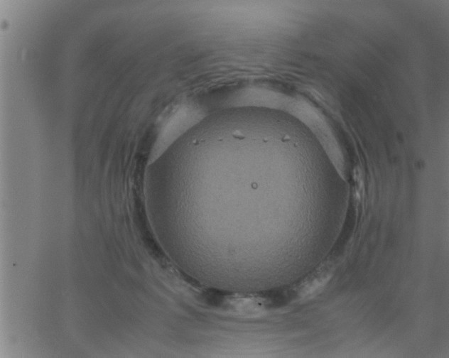 X0000066540221200603311853