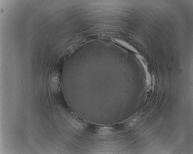 X0000066540222200603311853