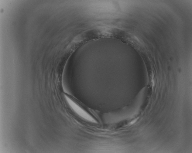 X0000066540223200603311853