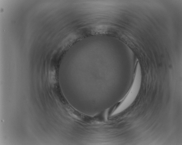 X0000066540224200603311853