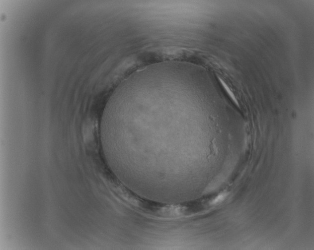 X0000066540225200603311853