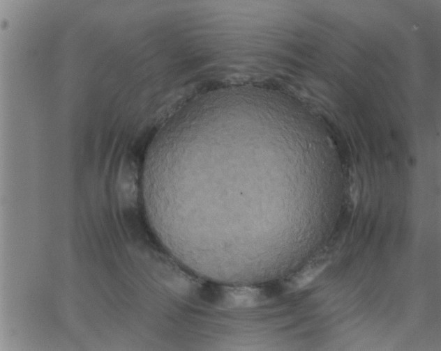 X0000066540226200603311853