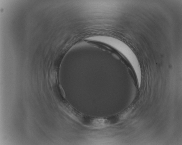 X0000066540227200603311853