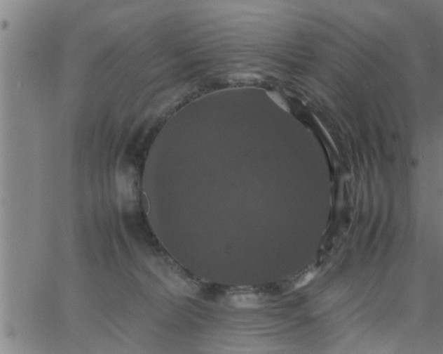 X0000066540228200603311853