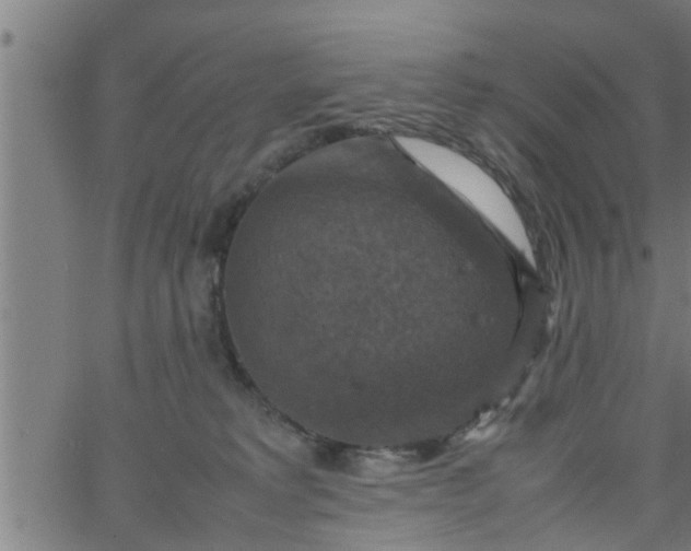 X0000066540229200603311853