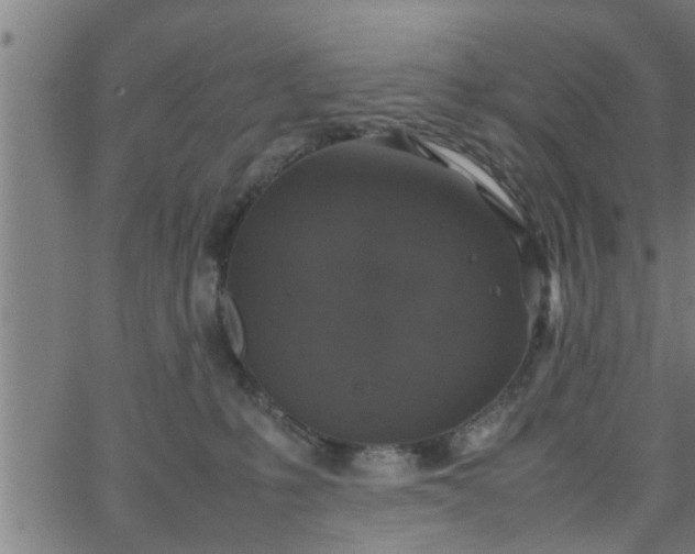 X0000066540231200603311853