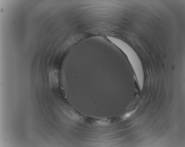 X0000066540232200603311853