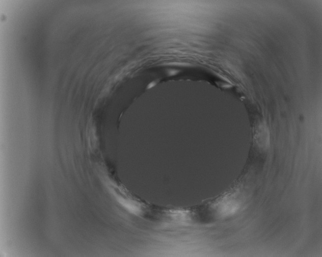 X0000066540233200603311853