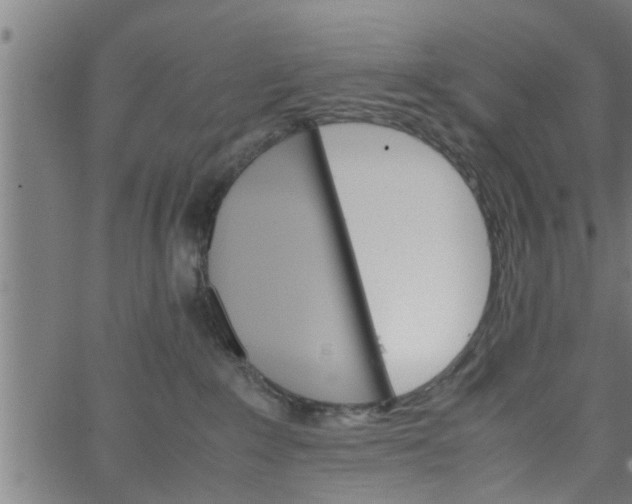 X0000066540235200603311853