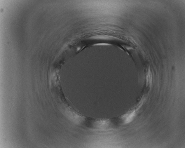 X0000066540237200603311853