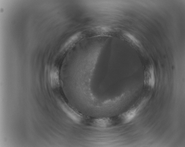 X0000066540238200603311853