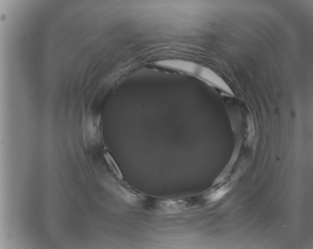 X0000066540239200603311853