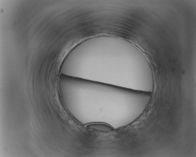 X0000066540241200603311852