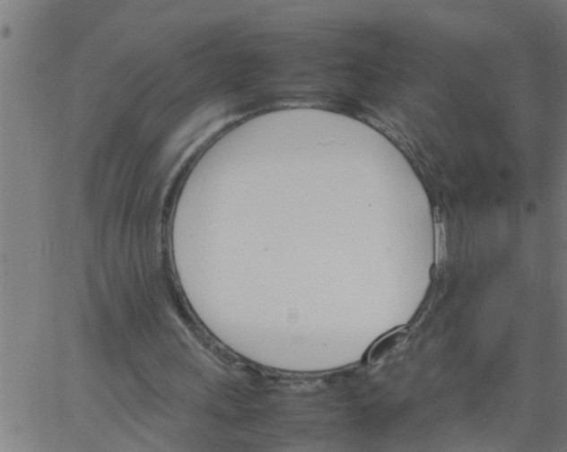 X0000066540243200603311852