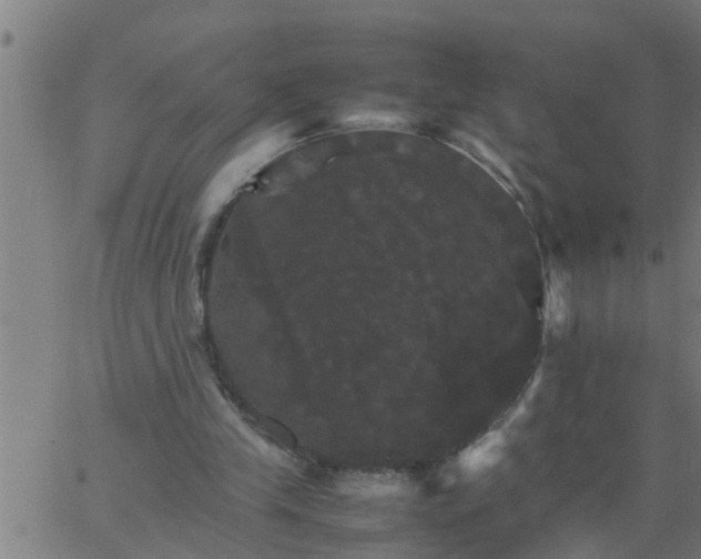 X0000066540245200603311852