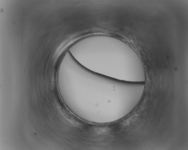 X0000066540247200603311852