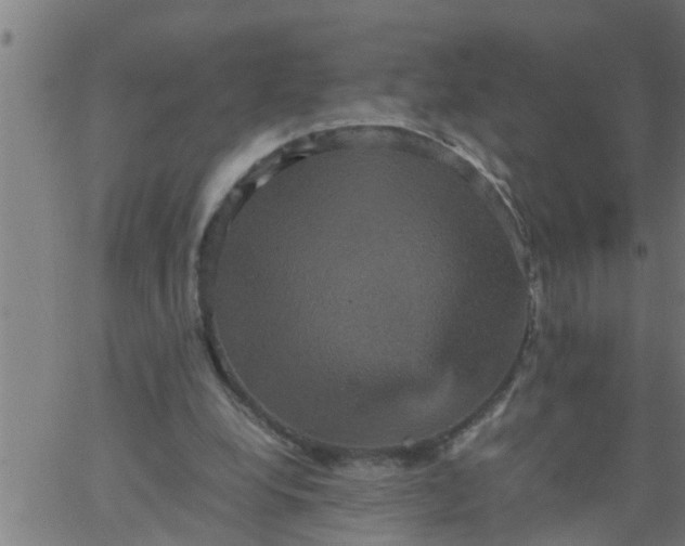 X0000066540248200603311852