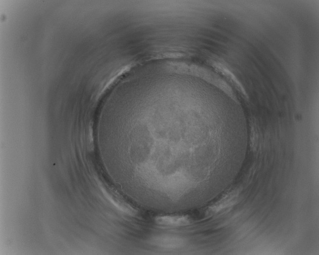 X0000066540251200603311852