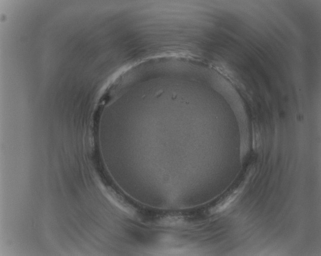 X0000066540252200603311852