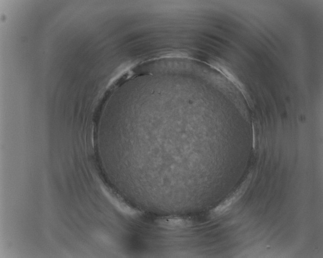 X0000066540253200603311852