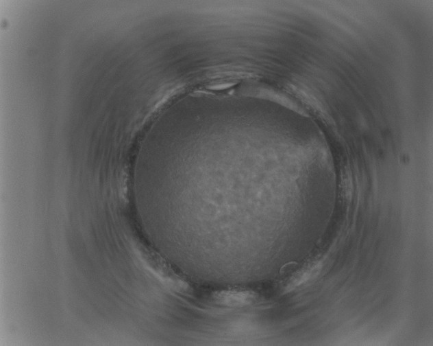 X0000066540255200603311852