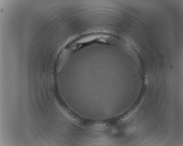 X0000066540256200603311852