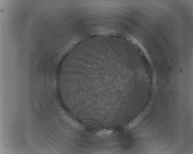 X0000066540257200603311852