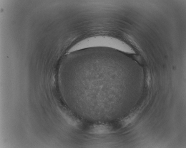 X0000066540259200603311852