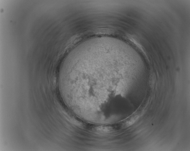 X0000066540261200603311852