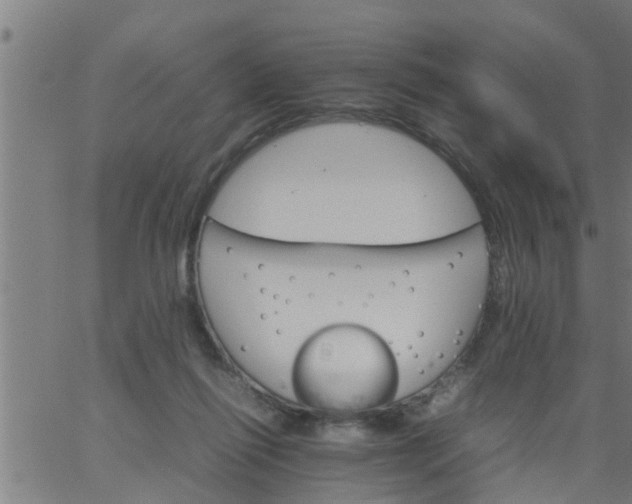 X0000066540262200603311852