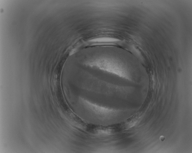 X0000066540263200603311852