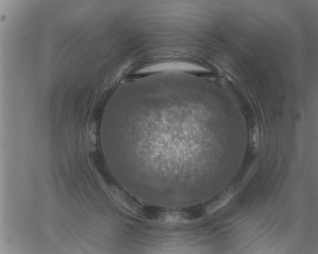 X0000066540264200603311852