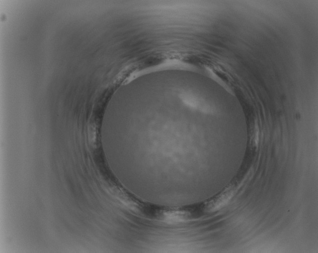 X0000066540268200603311852