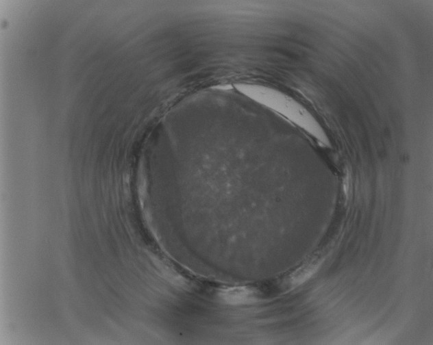 X0000066540269200603311852