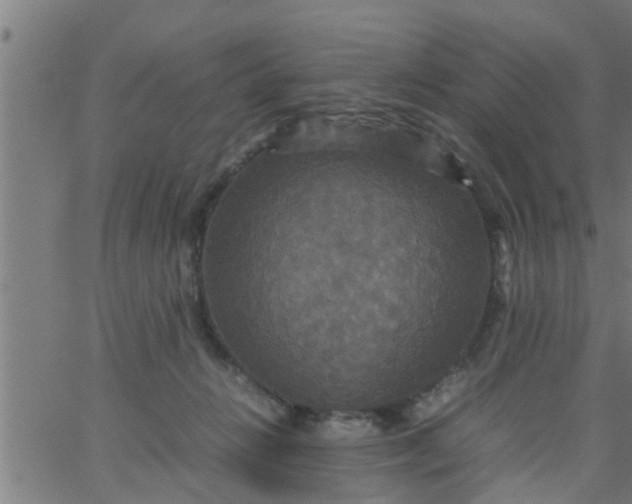 X0000066540270200603311852